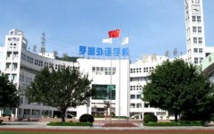 罗湖外国语学校